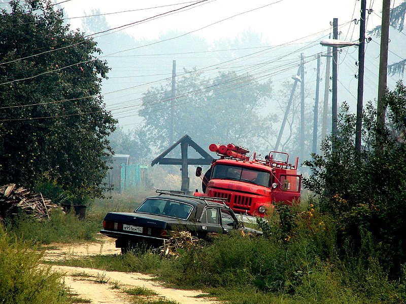 В городе Бор yстановлен полный запрет на посещение лесов