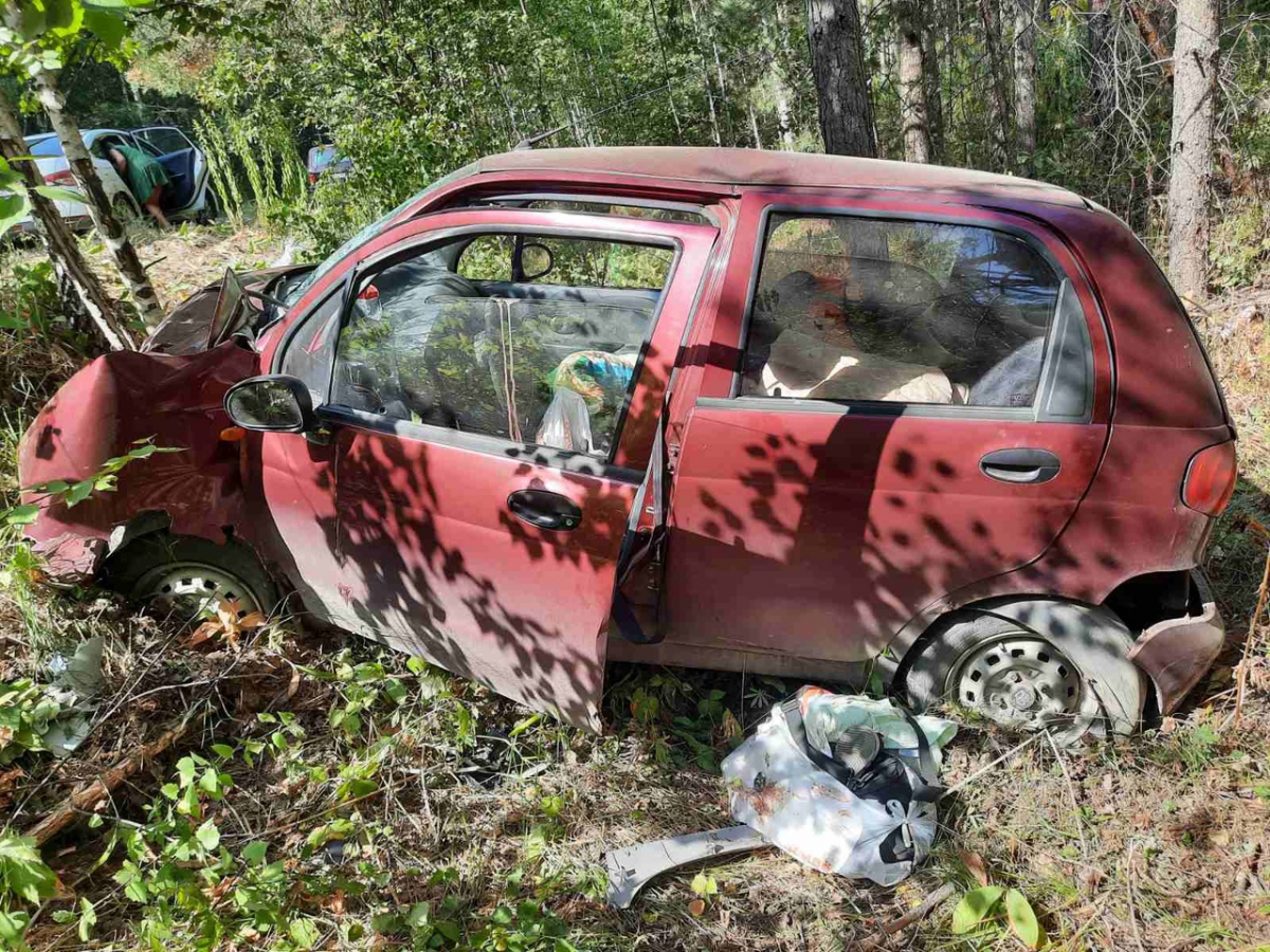 Врезавшись в дерево, водитель и пассажир автомобиля получили серьезные  травмы на Бору — новости города Бор