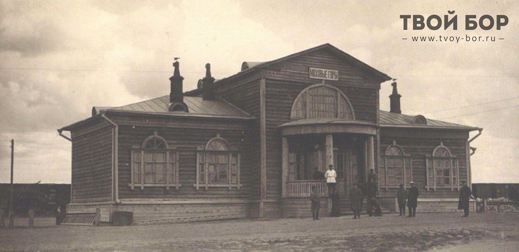 С Авито в памятники. Вокзалу «Моховые горы» на Бору официально присвоен статус объекта культурного наследия