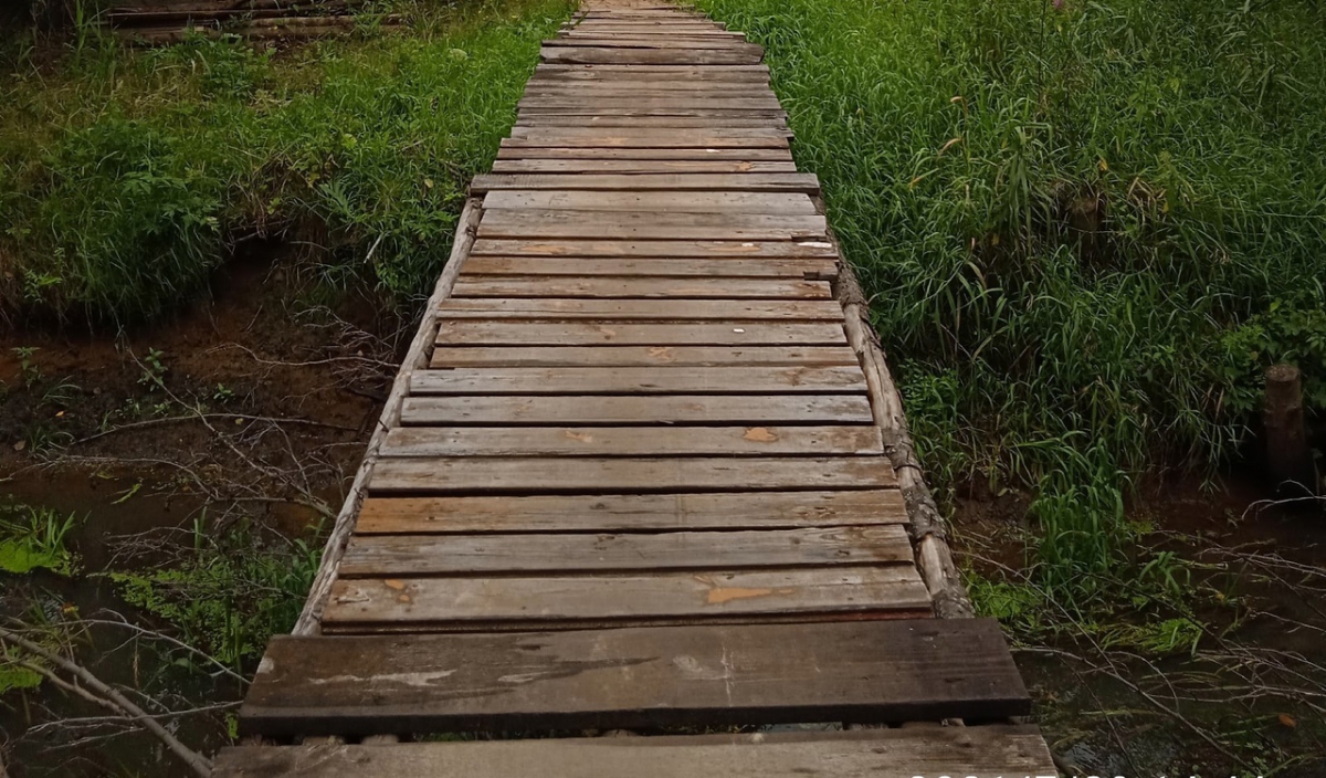 На Бору физрук своими руками построил мост для пенсионеров