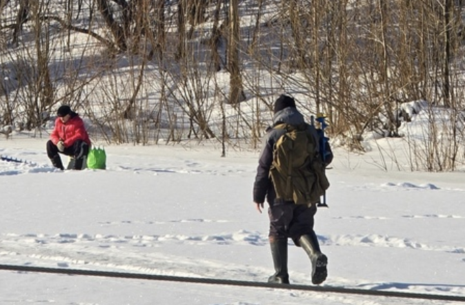 Борчане, не вступайте в "отряд самоубиц"