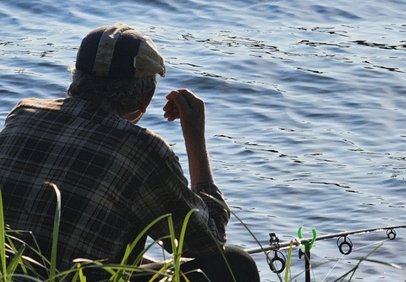 Новое рыболовное хозяйство появится на территориии Бора