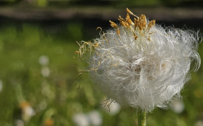 1 июня на Бору обещает быть жарким