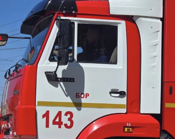 Новые запреты введены для борчан в лесах