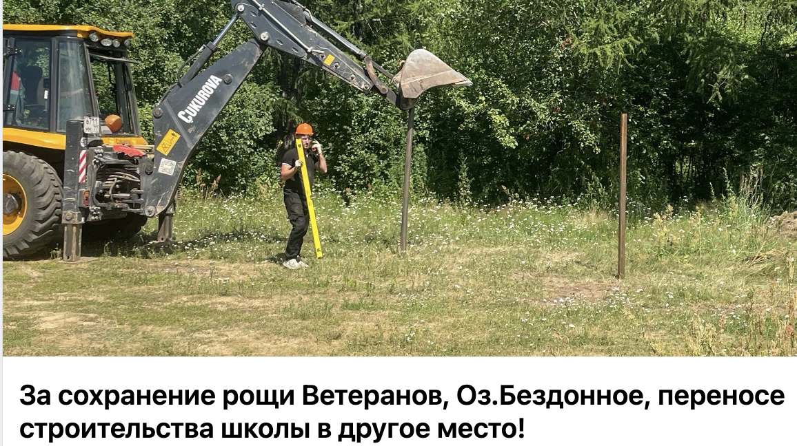 Борчане создали электронную петицию