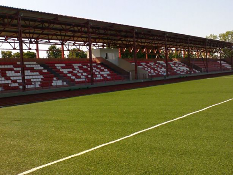 День физкультурника на Бору