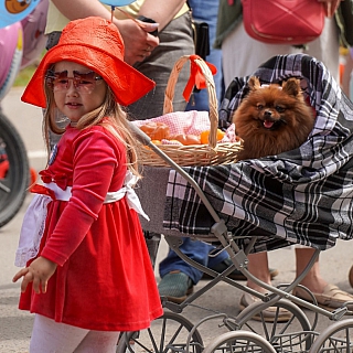 На Бору, по главной улице города, прошёл праздничный парад колясок 9