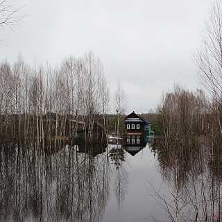 В Керженском заповеднике затопило избушку Бабы Яги 2