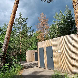 Бор - и точка! 6