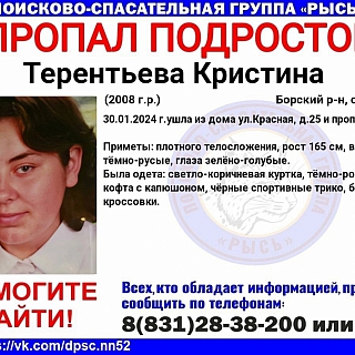 Пропал ребенок! 1