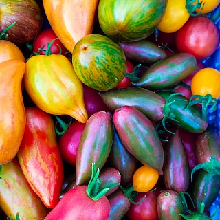 И всё-таки в глобальном потеплении есть свои преимущества 6