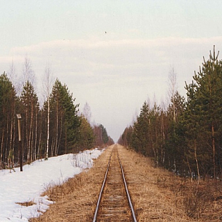 Новые экспозиции у экоцентра Керженского заповедника 4