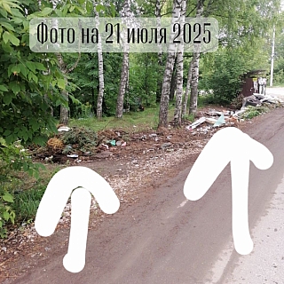 Большой пост про мусор, которая написала москвичка, бывающая на Бору 4