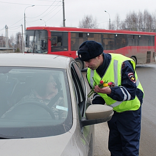 Борские сотрудники ДПС совместно с Общественным советом заступили в цветочный патруль 6