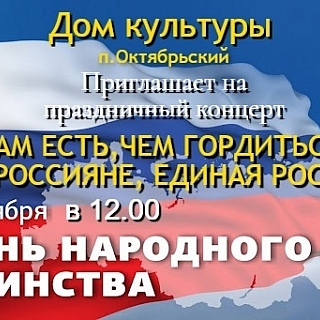 День народного единства на Бору 6