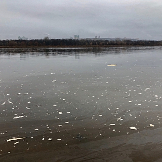 Волга в районе Бора заплыла соляркой? 2