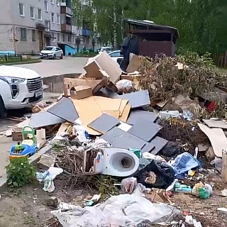 Три красноречивых фото с борской помойки 1