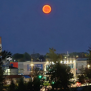 Луна удивляла борчан 2