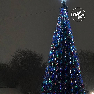 Новый год всё ближе, ёлок на Бору всё больше 2