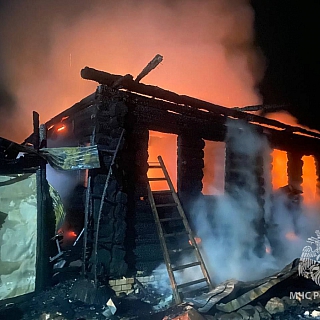 Женщина погибла на пожаре в деревне Попово Борского района 3