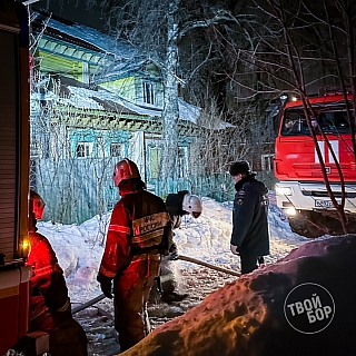 Пожилая женщина погибла в пожаре на Бору 2