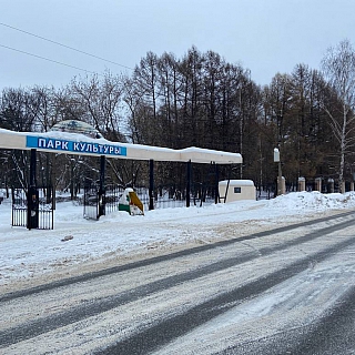 Нужно ли благоустройство городского парка на Бору? 4