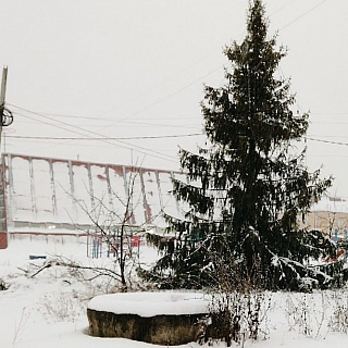 На Бору начали устанавливать новогодние елки 1