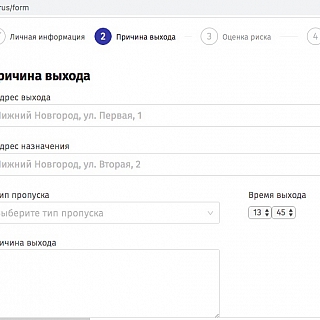 Для выхода из дома жителям Бора следует получить специальное подтверждение! 5