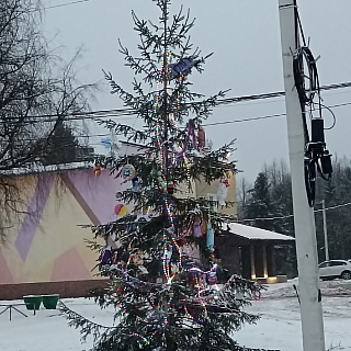 Новогодние красавицы радуют борчан 2