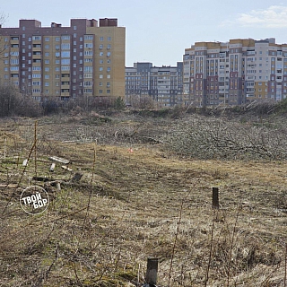 На Бору началось строительство новой школы 2