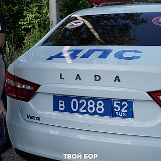 За что наказали борских родителей 2