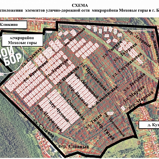 На Бору застроят "Моховые горы"? 1