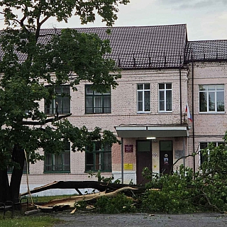 Главный символ борской школьной осени – клён у школы #6 сломался под натиском урагана 6