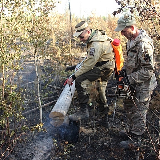 Порой на Бору с нашего молчаливого согласия происходят страшные вещи 4