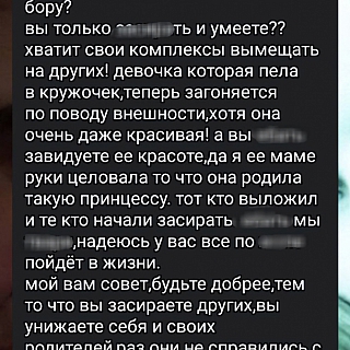 На Бору пышным цветом цветёт кибербуллинг 1