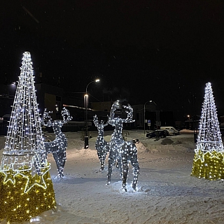 На Мухинское завезли красоту! 3