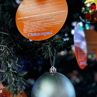 На Бору стартовала ежегодная благотворительная акция «Мандарин» 1