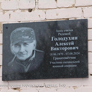 Мемориальную доску открыли на Бору 1