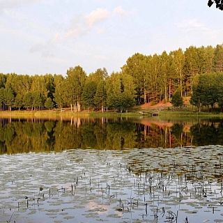 Где ловить золотую осень борчанам? 4