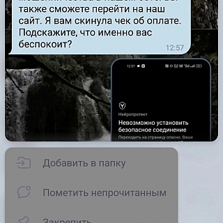 Пост-предостережение от борчанки: 5