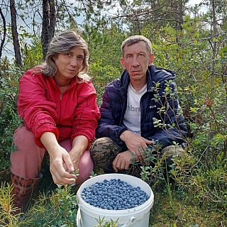 Борчане похвалились дарами леса 3