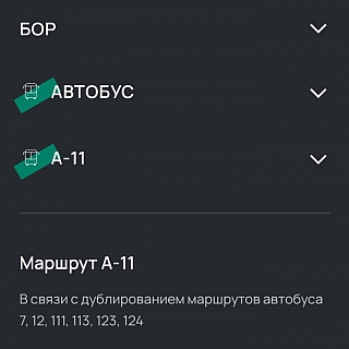 Большие перемены в борских маршрутах 4