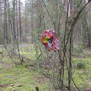 Опасная красота в Керженском заповеднике 4