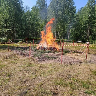 В Борском лесничестве испытали новое средство для борьбы с лесными пожарами 1