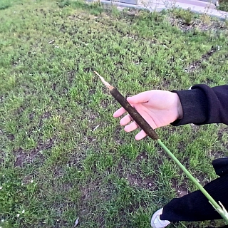 Пост гнева от подписчика 2