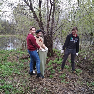 4 мая прошел очередной городской субботник, в преддверии празднования Дня Победы 2