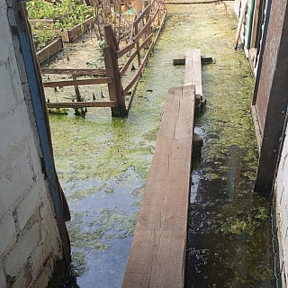 Борчане просят о помощи 3