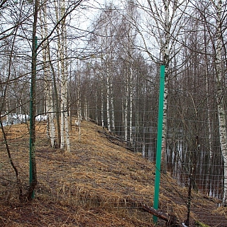 В Керженском заповеднике затопило избушку Бабы Яги 4