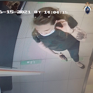 Внимание! Следственный комитет просит откликнуться свидетелей по делу о пропавшей иностранке 2