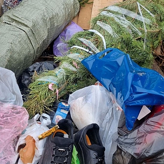 Пути борские неисповедимы... 2